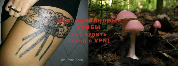 прущая мука Белокуриха